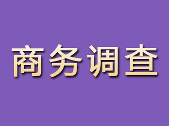 怀仁商务调查